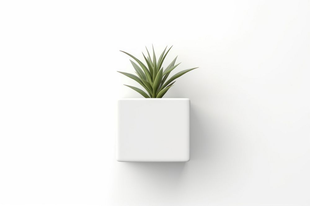 Plant plant vase. AI generated Image by rawpixel.