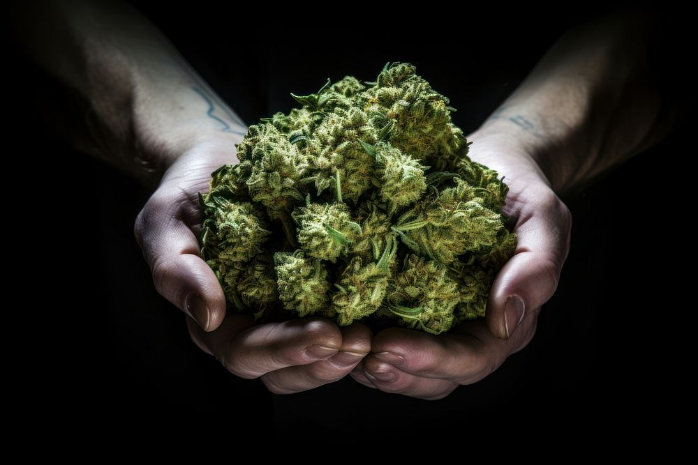 Cannabis hand medicine cannabis. AI generated Image by rawpixel.