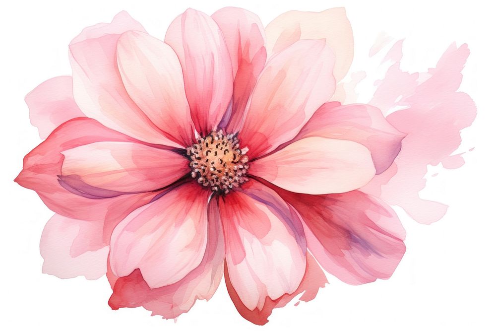Pink flower blossom dahlia petal. AI generated Image by rawpixel.