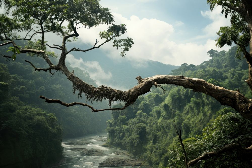 Jungle tree wilderness vegetation. AI generated Image by rawpixel.