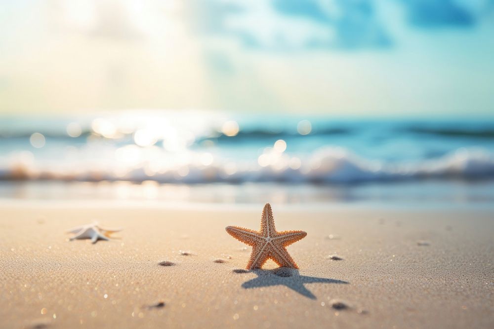 Tropical summer sand beach outdoors starfish nature. AI generated Image by rawpixel.