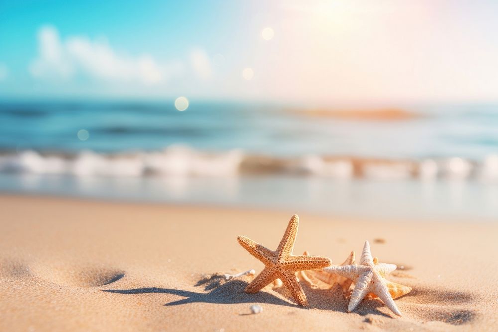 Tropical summer sand beach outdoors nature sky. 