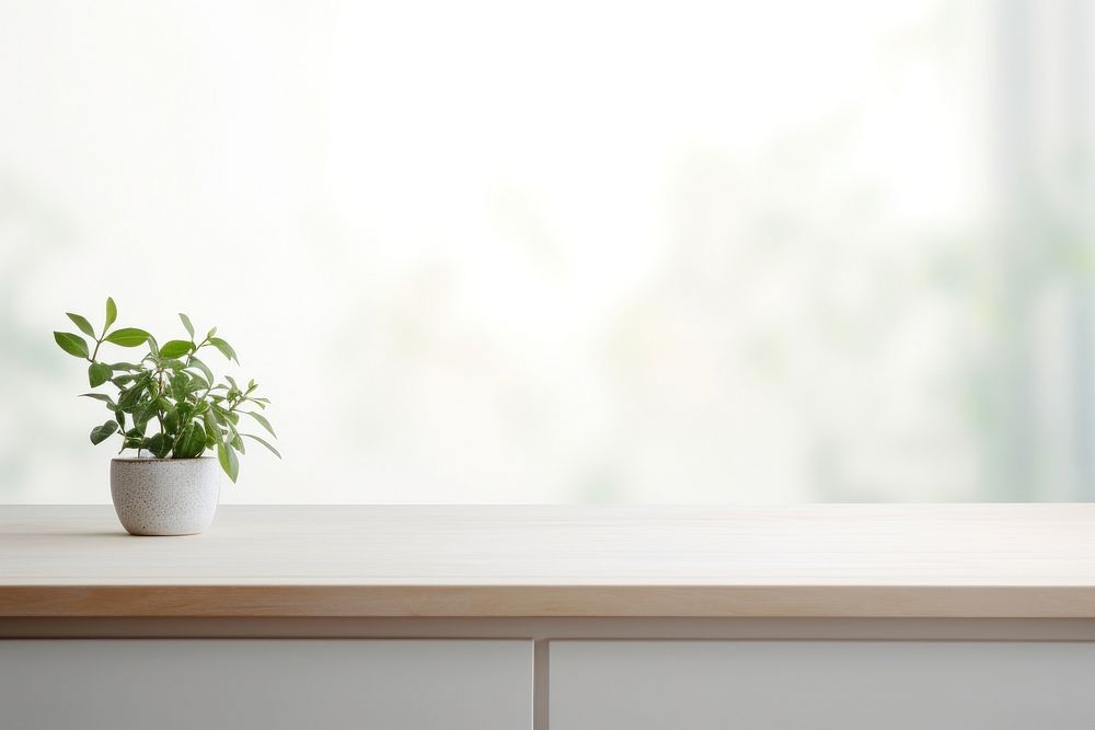 Empty tabletop windowsill plant houseplant. AI generated Image by rawpixel.