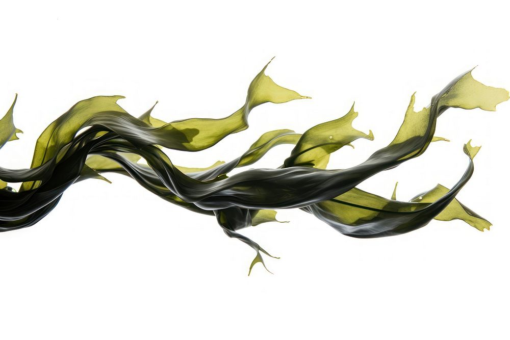 Swaying kelp seaweed white background abstract flowing. AI generated Image by rawpixel.