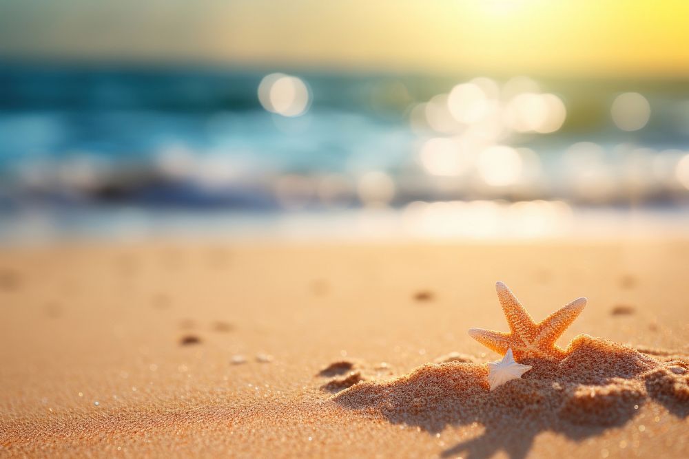 Summer sand beach outdoors starfish nature. AI generated Image by rawpixel.