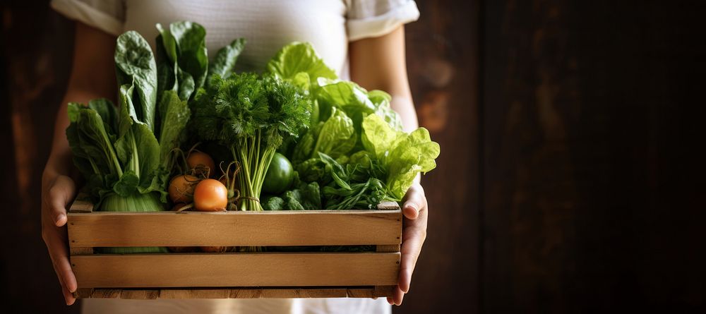 Woman holding wooden box basket vegetable plant food. 