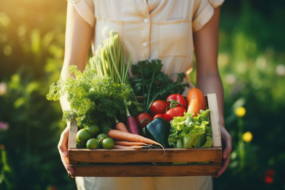 Woman holding wooden box basket vegetable gardening outdoors. AI generated Image by rawpixel.