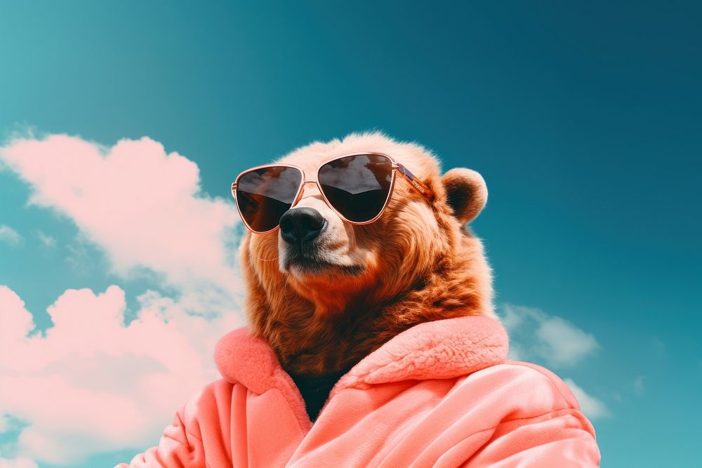 Bear wearing cool sunglasses mammal adult photo. AI generated Image by rawpixel.