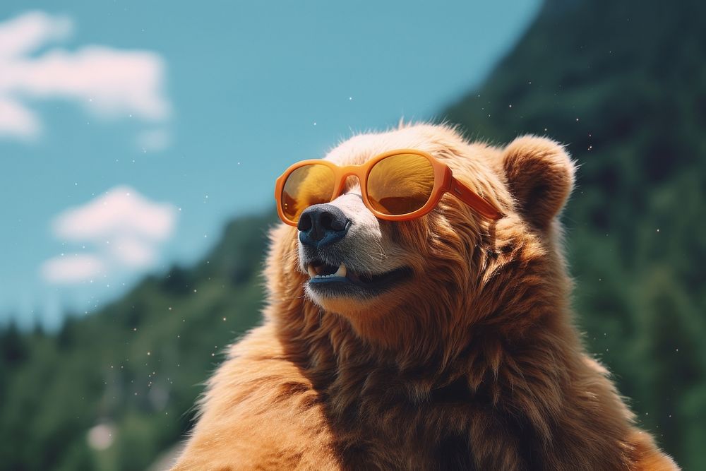 Bear wearing cool sunglasses mammal animal photo. AI generated Image by rawpixel.