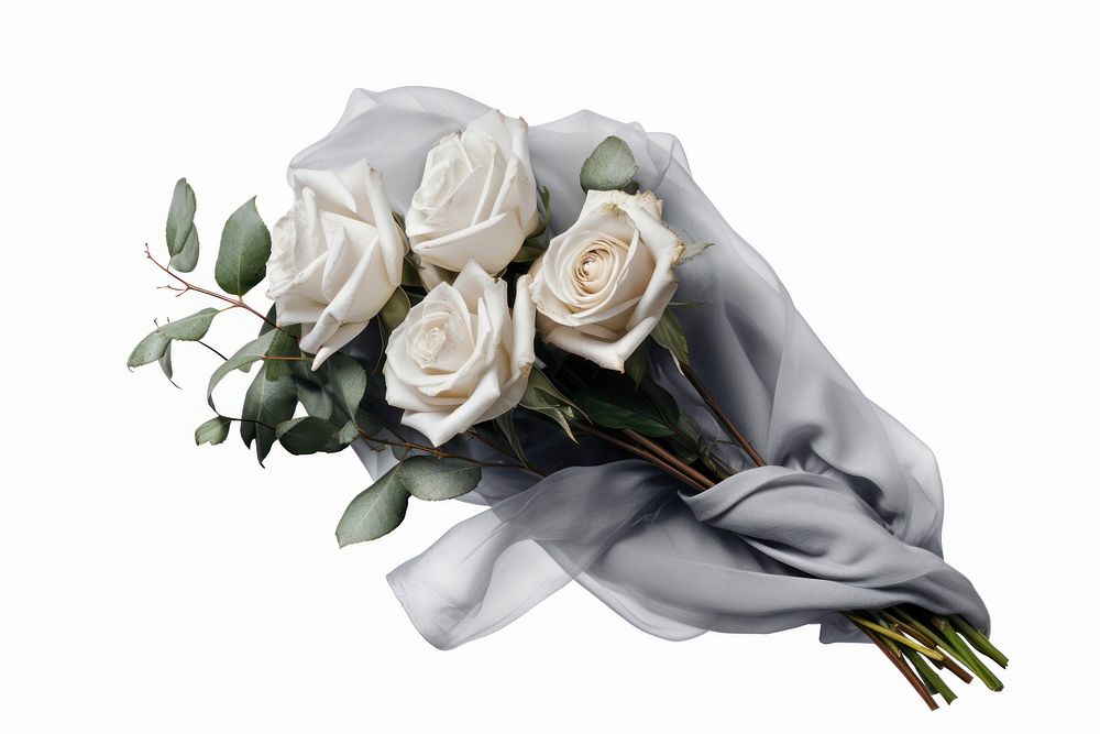 Flower plant white rose. AI generated Image by rawpixel.