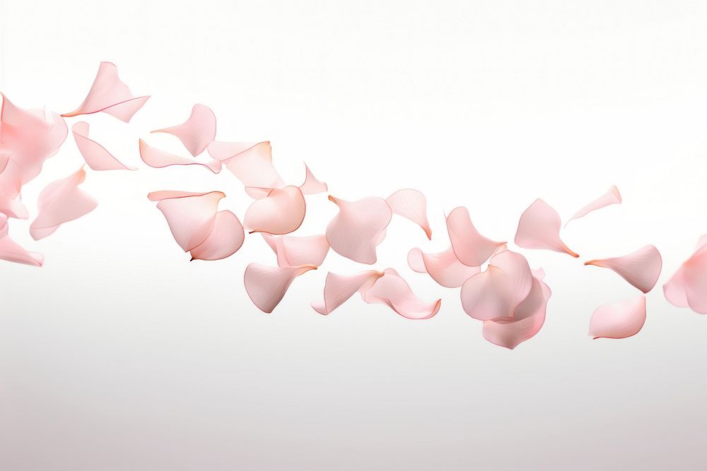 Delicate pastel pink rose petals falling fragility freshness blossom. AI generated Image by rawpixel.