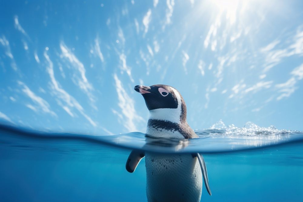 Penguin swimming animal blue. AI generated Image by rawpixel.