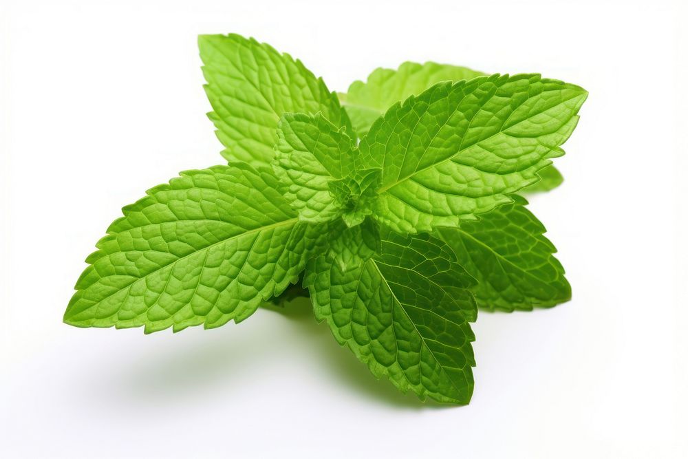 Mint leaves plant herbs leaf. AI generated Image by rawpixel.