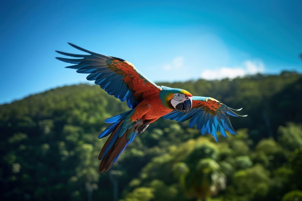 Macaw flying animal parrot bird. AI generated Image by rawpixel.