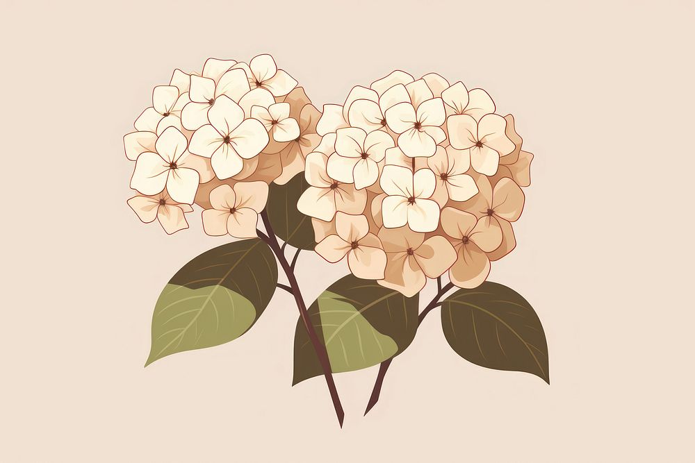 Hydrangea hydrangea flower plant. AI generated Image by rawpixel.