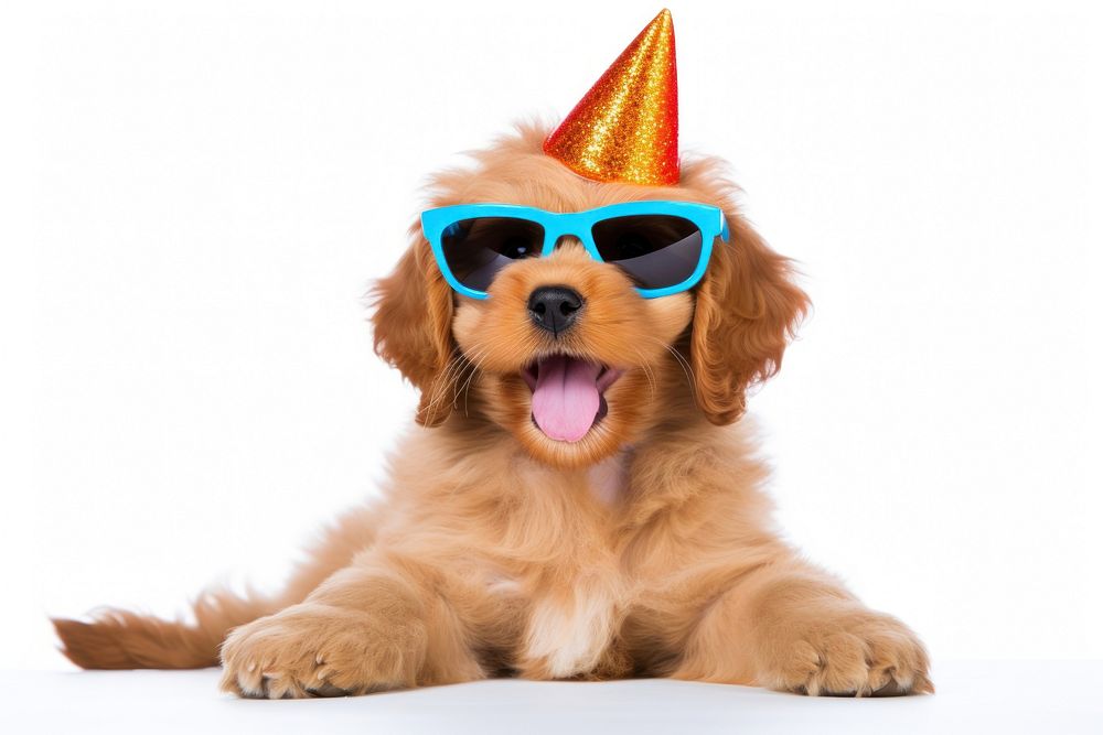 Puppy celebrating sunglasses portrait mammal. AI generated Image by rawpixel.