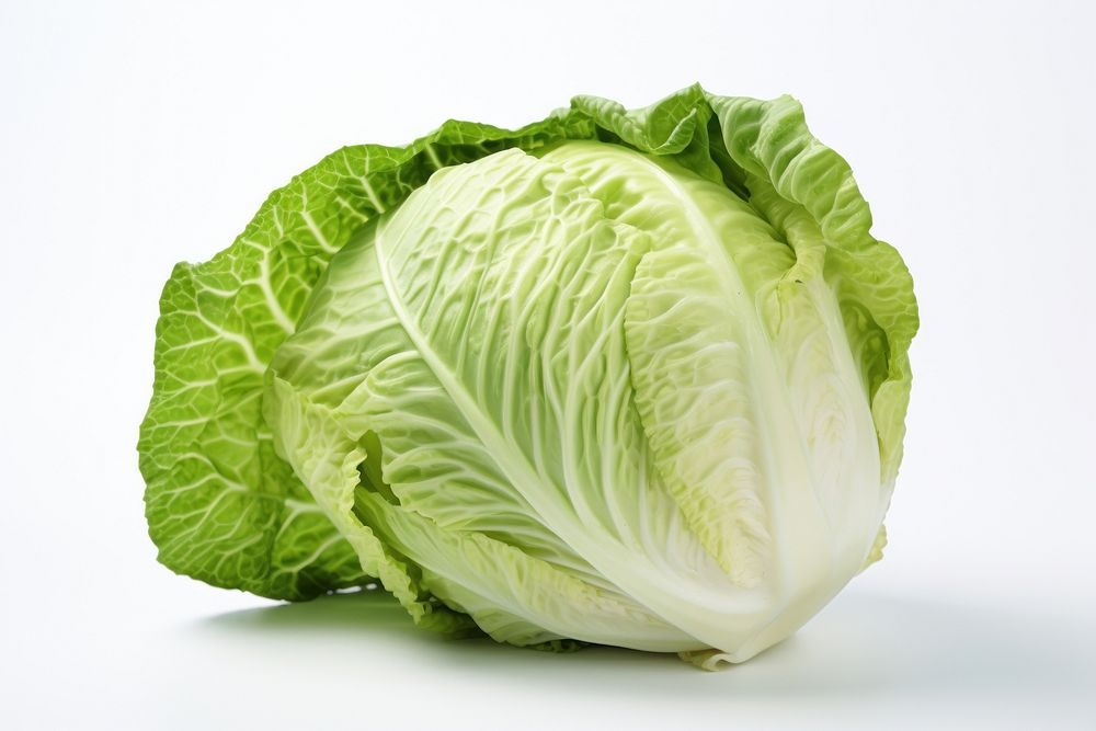 Cabbage stir fried dish vegetable plant food. AI generated Image by rawpixel.