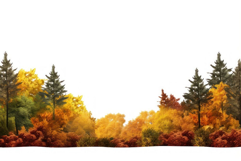 Autumn forest landscape outdoors nature. AI generated Image by rawpixel.