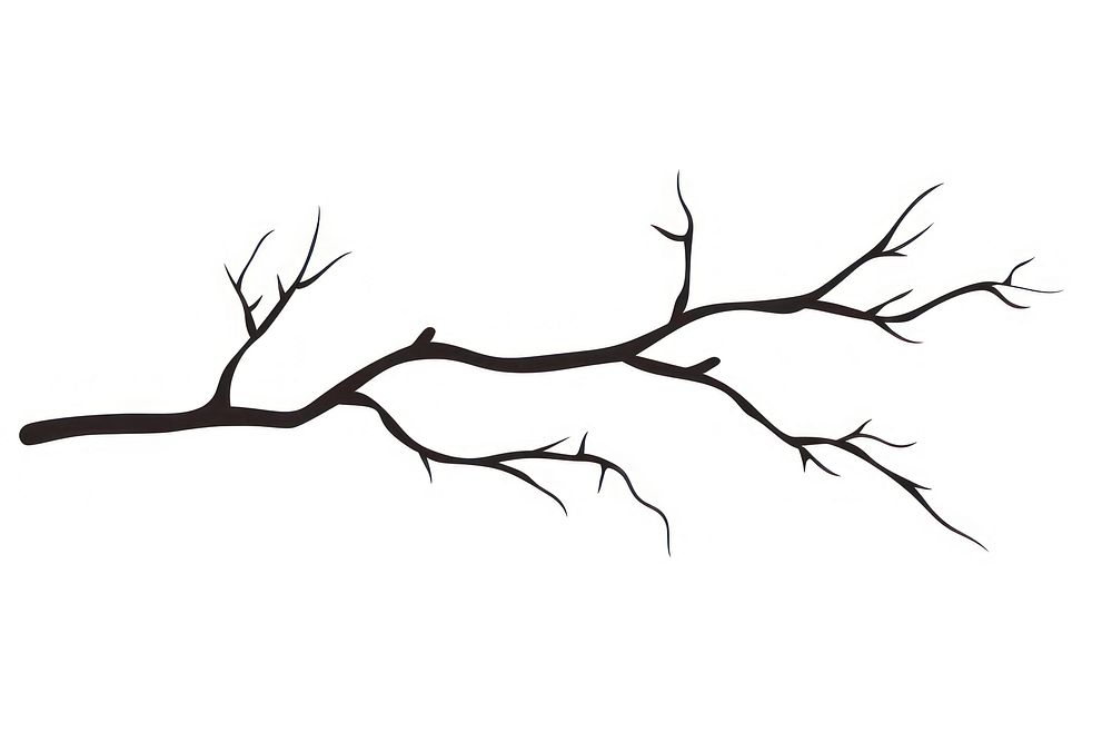 tree branch drawing sketch white | Free Photo Illustration - rawpixel