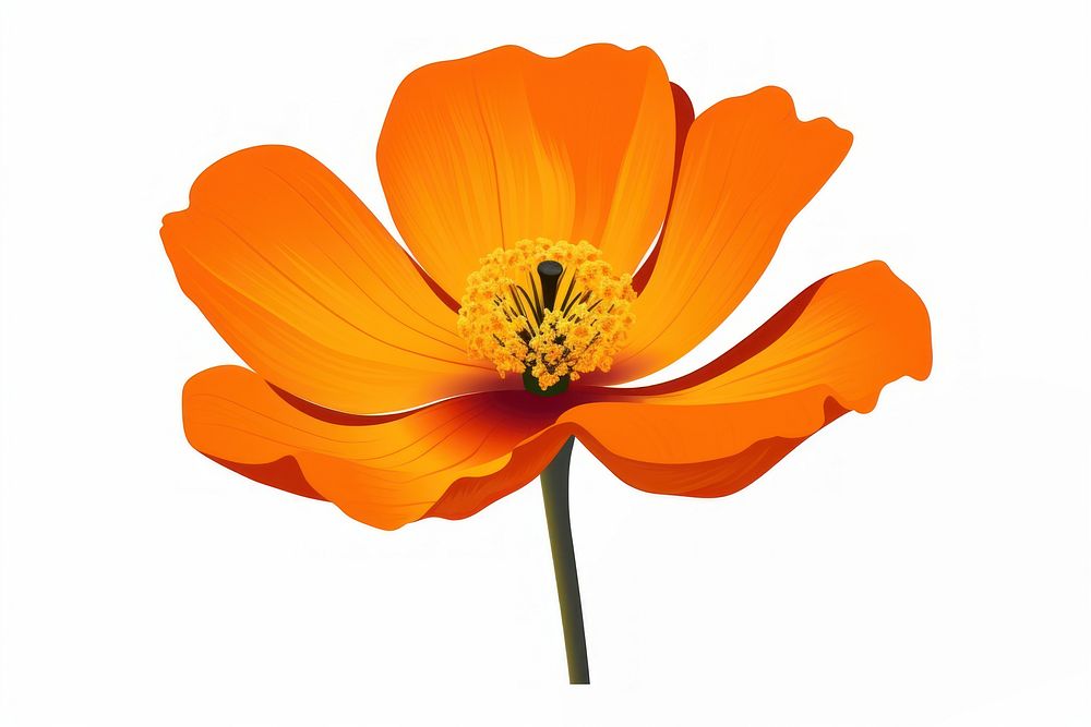 California Poppy flower pollen petal. AI generated Image by rawpixel.