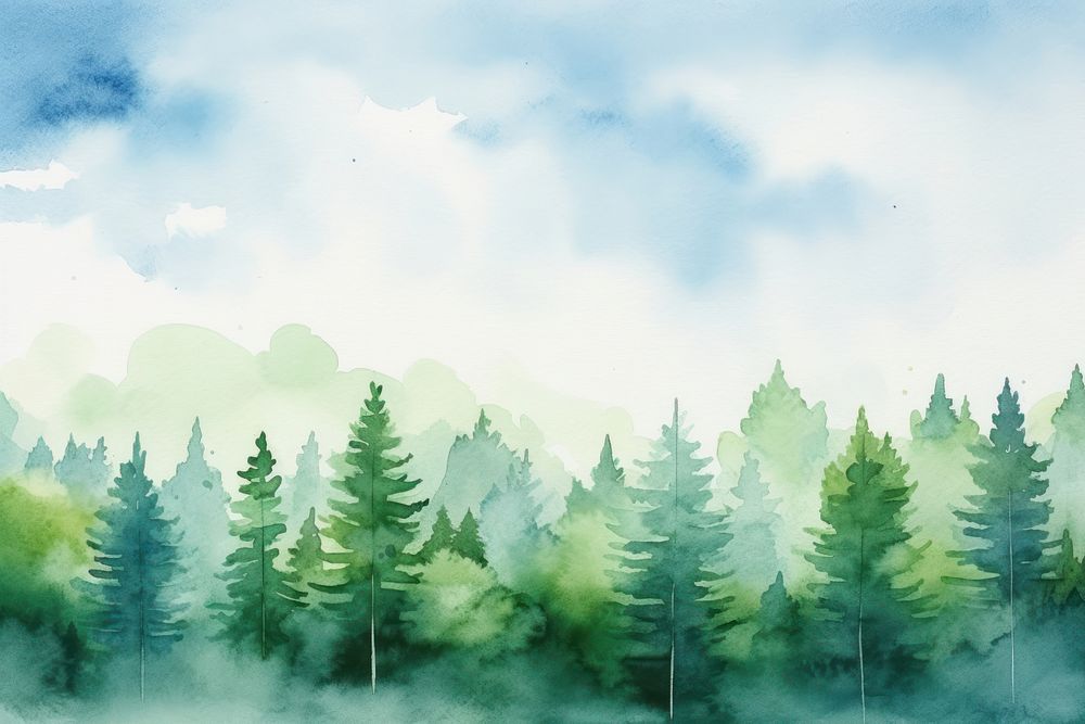 Forest view backgrounds landscape outdoors. 