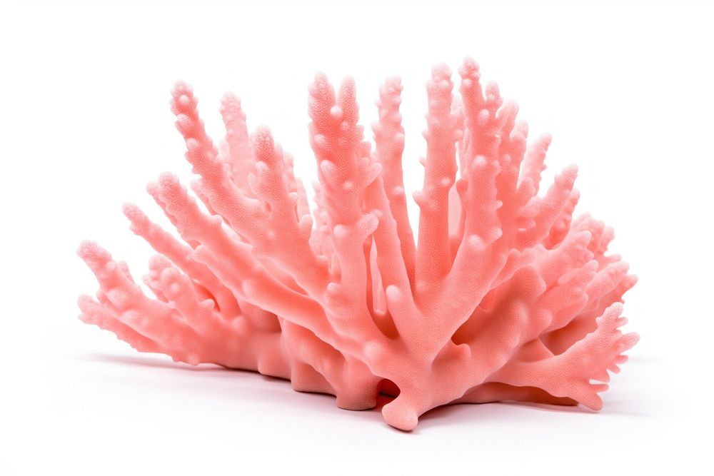 Organ pipe coral nature food sea. AI generated Image by rawpixel.