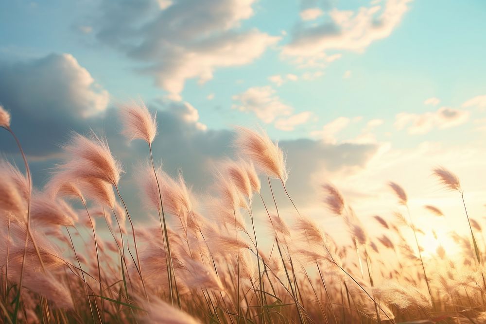 Grass meadow sky landscape outdoors. AI generated Image by rawpixel.