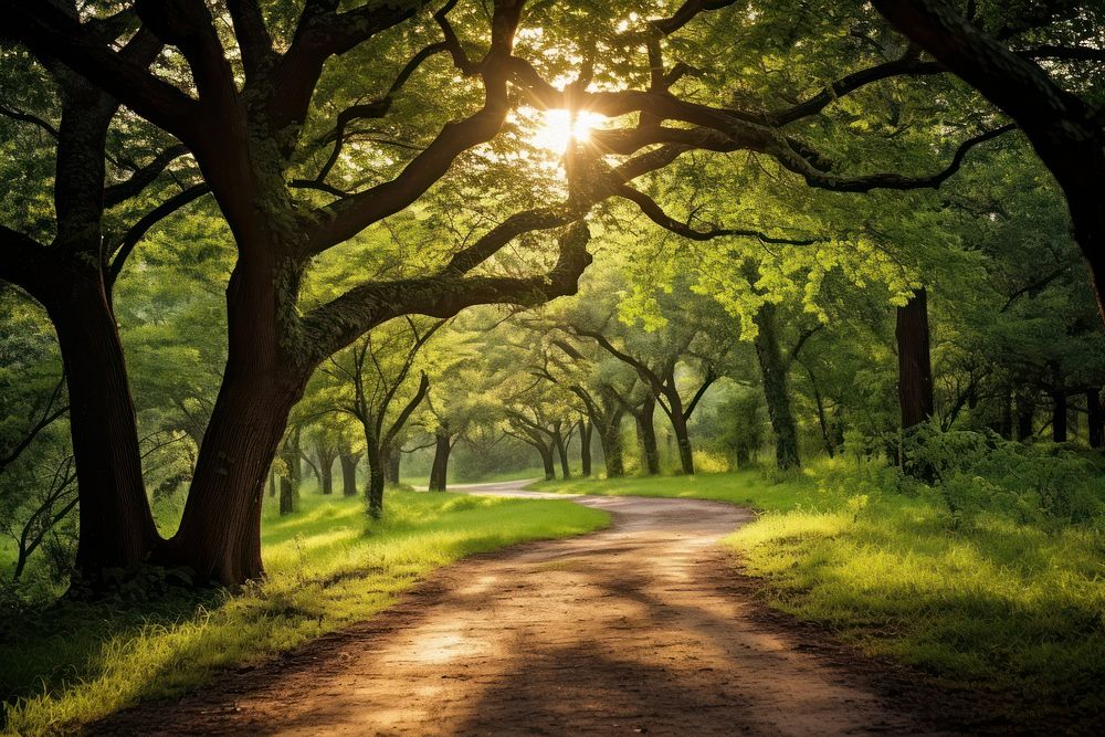 Green leafed tree landscape sunlight outdoors. AI generated Image by rawpixel.