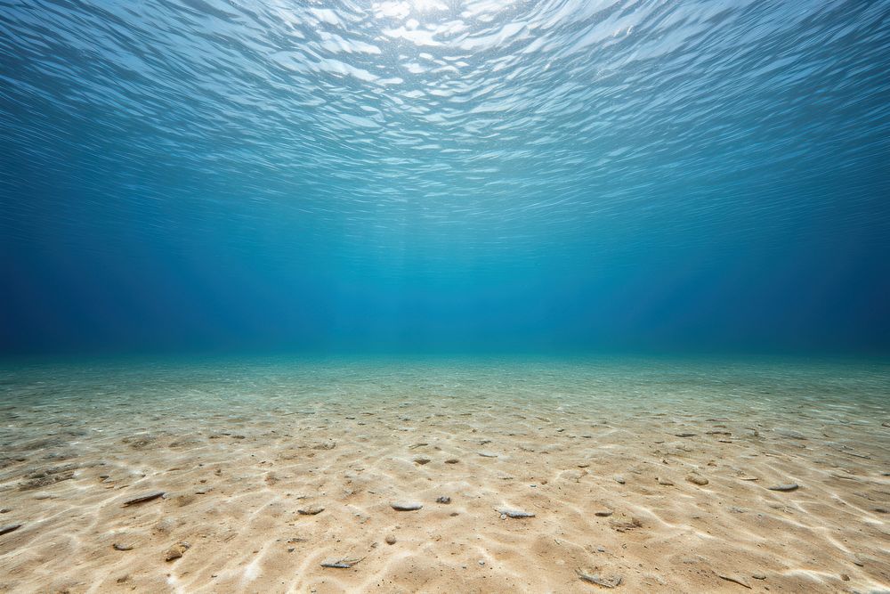 Backgrounds underwater outdoors nature. AI | Free Photo - rawpixel