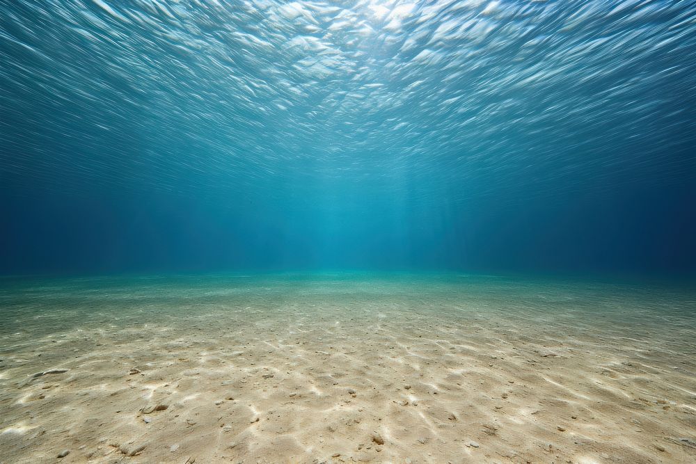 Backgrounds underwater outdoors nature. 