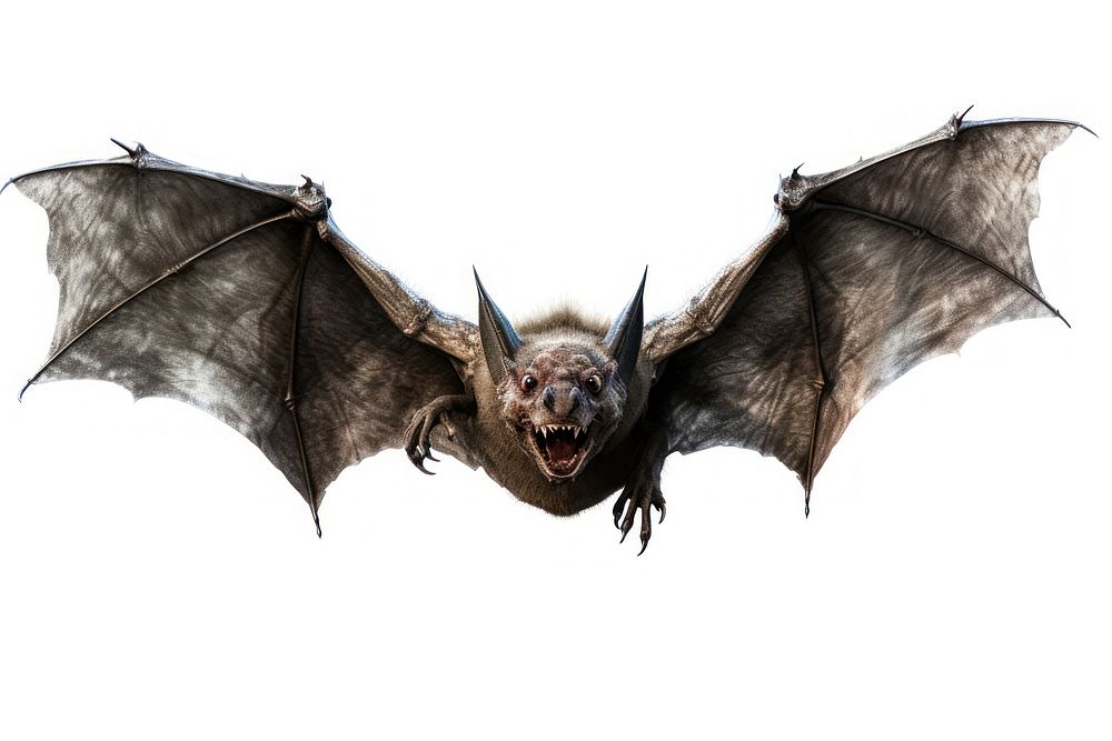 Flying monster wildlife animal bat. AI generated Image by rawpixel.