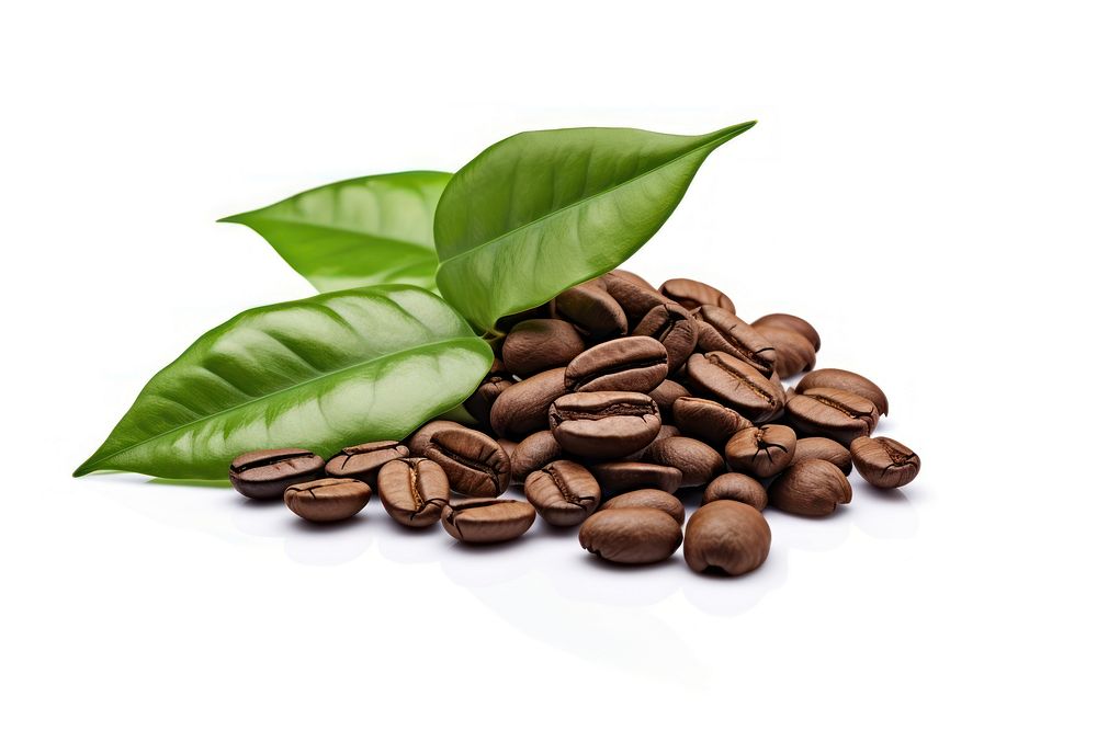 Coffee leaves plant white background ingredient. AI generated Image by rawpixel.