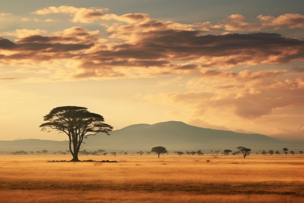 SERENGETI landscape grassland outdoors. AI generated Image by rawpixel.