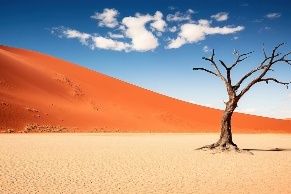 Sossusvlei outdoors desert nature. 