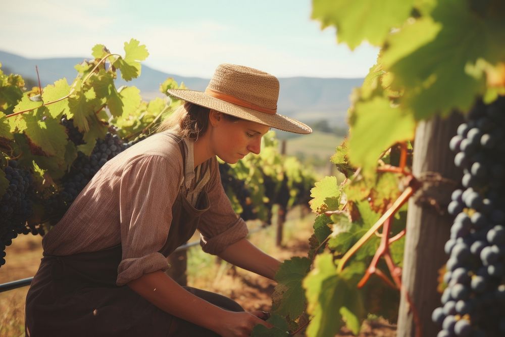 Australian farmer vineyard outdoors nature. AI generated Image by rawpixel.