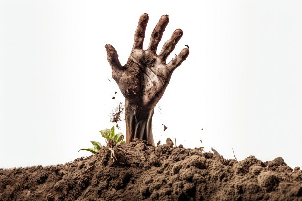 Dead hand soil outdoors plant. AI generated Image by rawpixel.
