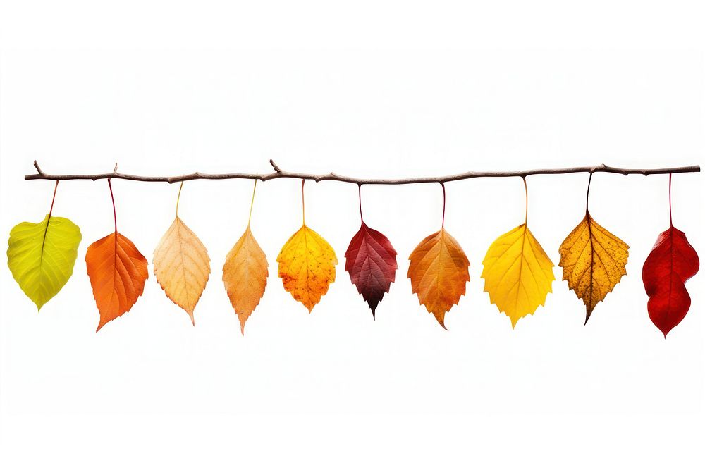 Fall leaves plant leaf tree. AI generated Image by rawpixel.