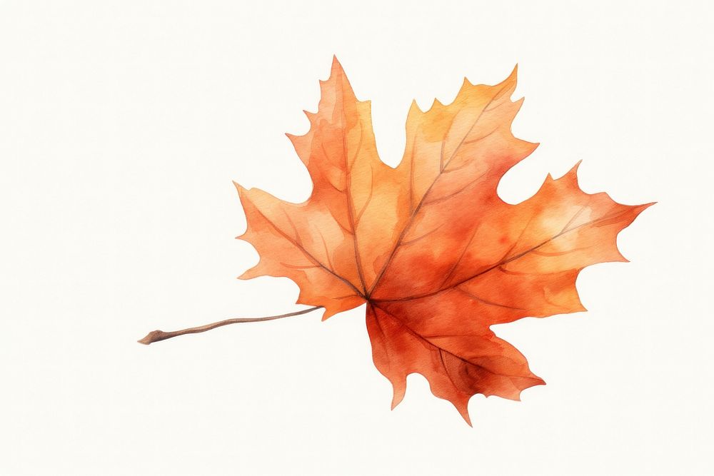 Fall leaf maple plant tree. AI generated Image by rawpixel.