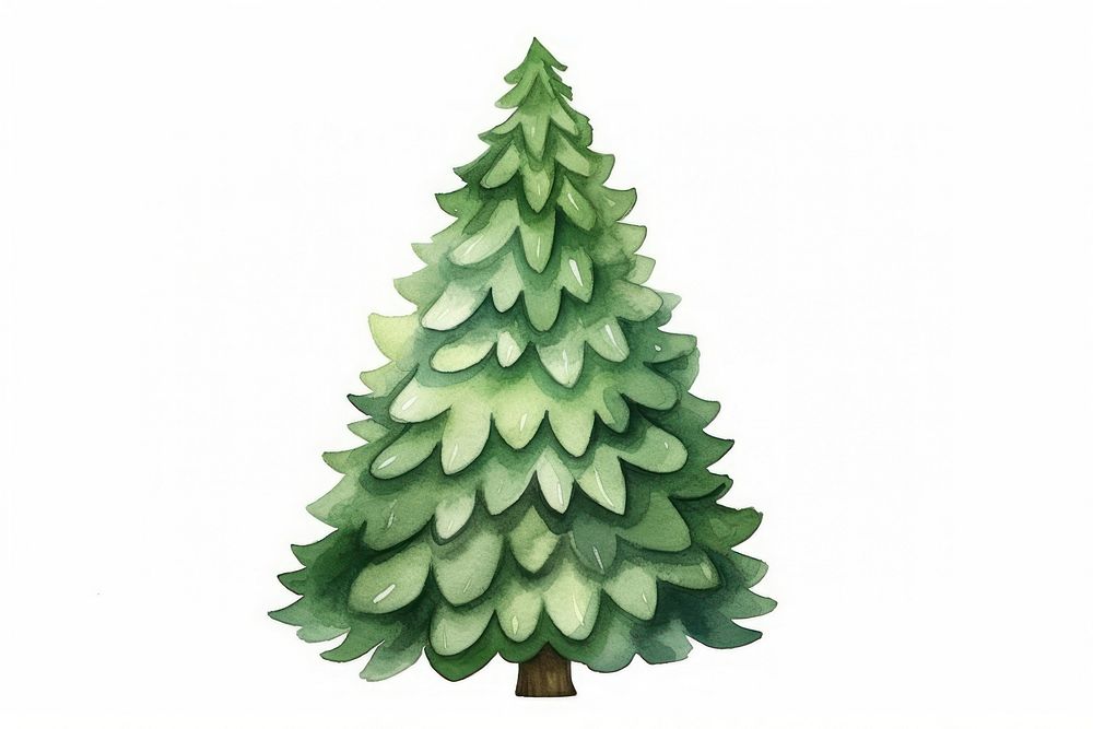 Christmas tree plant white background celebration. AI generated Image by rawpixel.