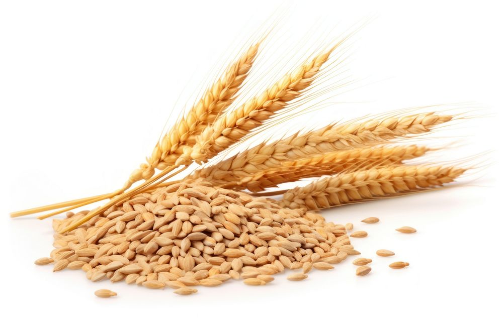Wheat ear Wheat grains ingredient food. AI generated Image by rawpixel.