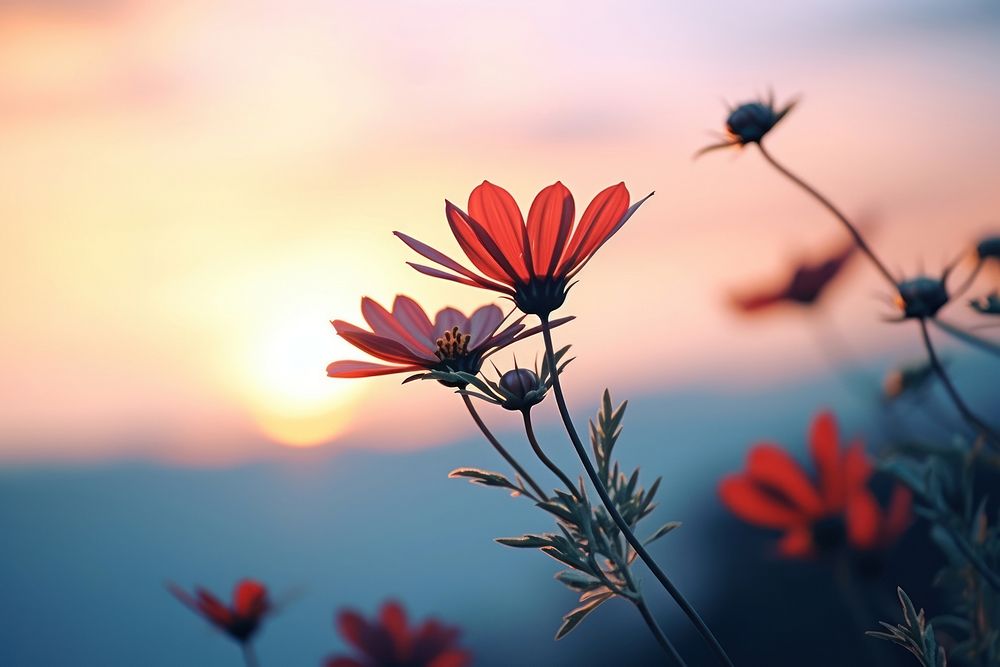 Nature flower Beautiful outdoors. AI generated Image by rawpixel.