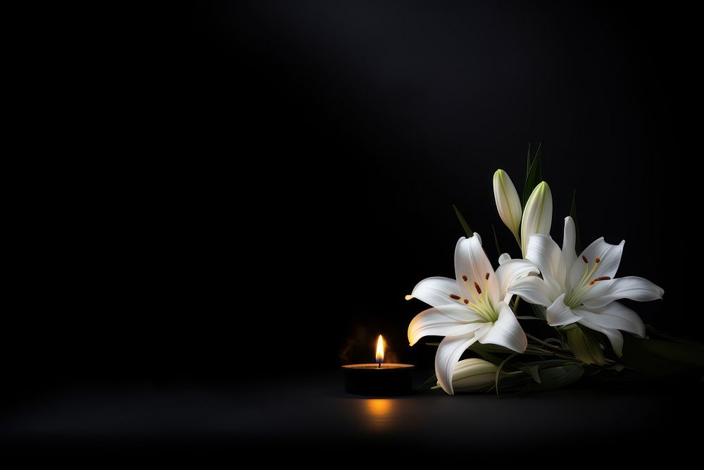 Candle white lily flower burning. AI generated Image by rawpixel.