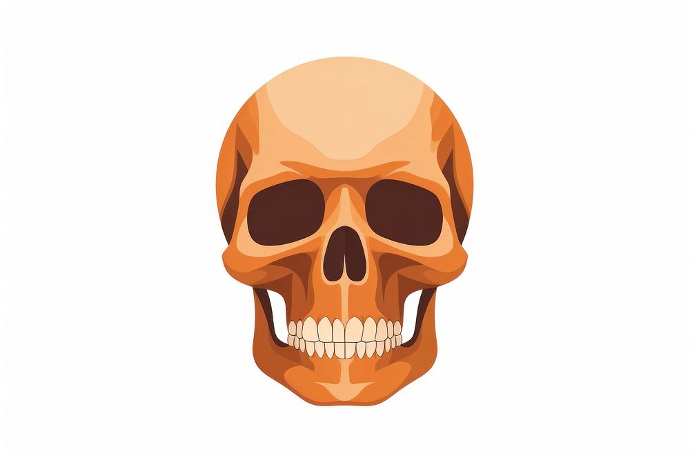 Skull icon white background anthropology. AI generated Image by rawpixel.