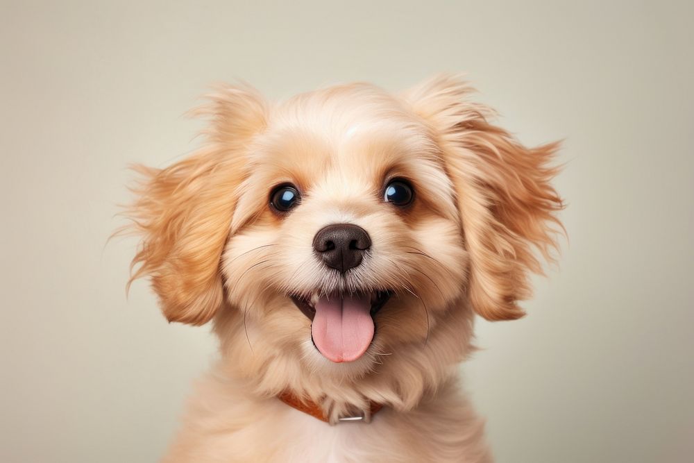 Cutest puppy portrait mammal animal. AI generated Image by rawpixel.
