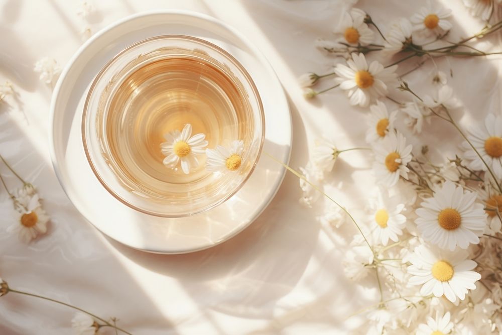 Chamomile tea cup flower plant. 