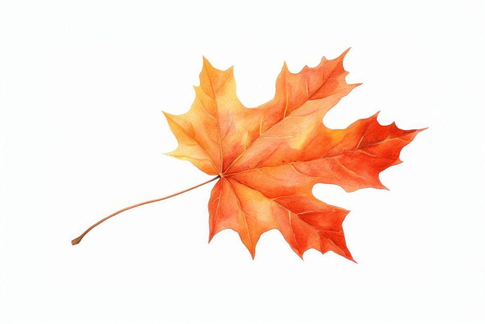 Leaf autumn maple plant. AI generated Image by rawpixel.