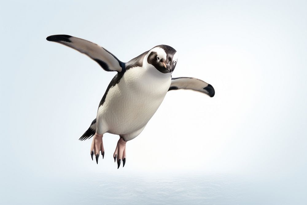 Penguin animal bird wildlife. AI generated Image by rawpixel.