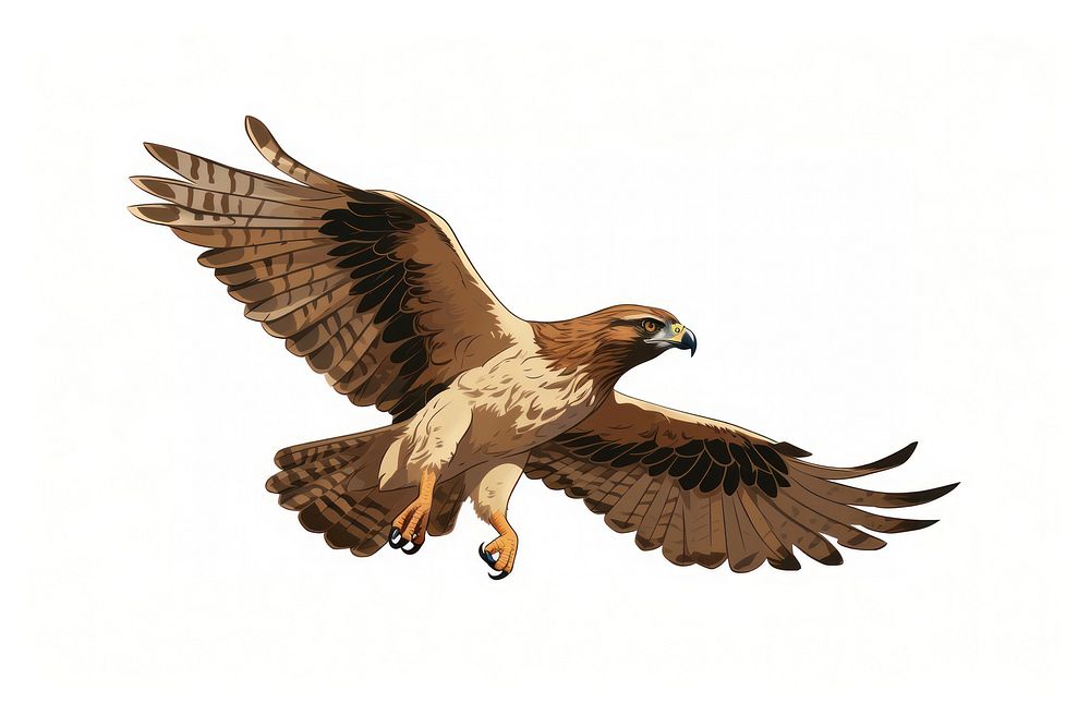 Hawk buzzard vulture animal. AI generated Image by rawpixel.