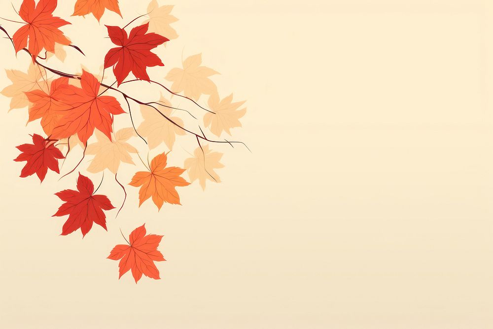 Autumn leaves leaf backgrounds autumn.