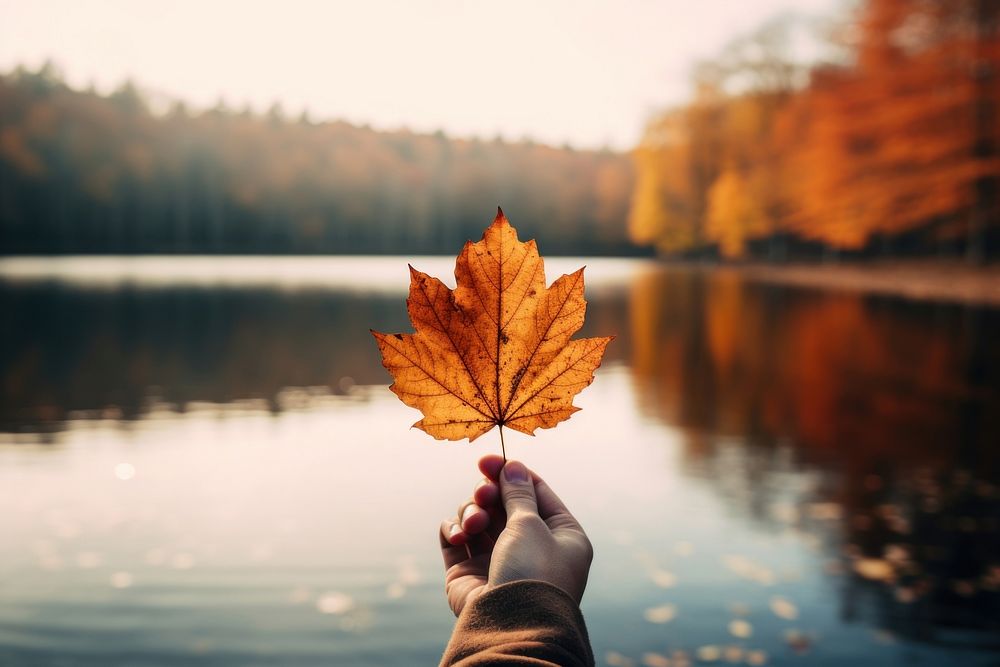 1 Autumn leaf autumn lake hand. AI generated Image by rawpixel.